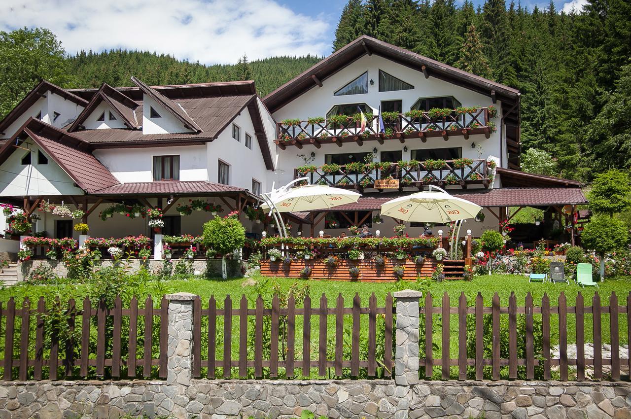 Complex Turistic Luminita Hotel Moeciu De Sus Exterior photo